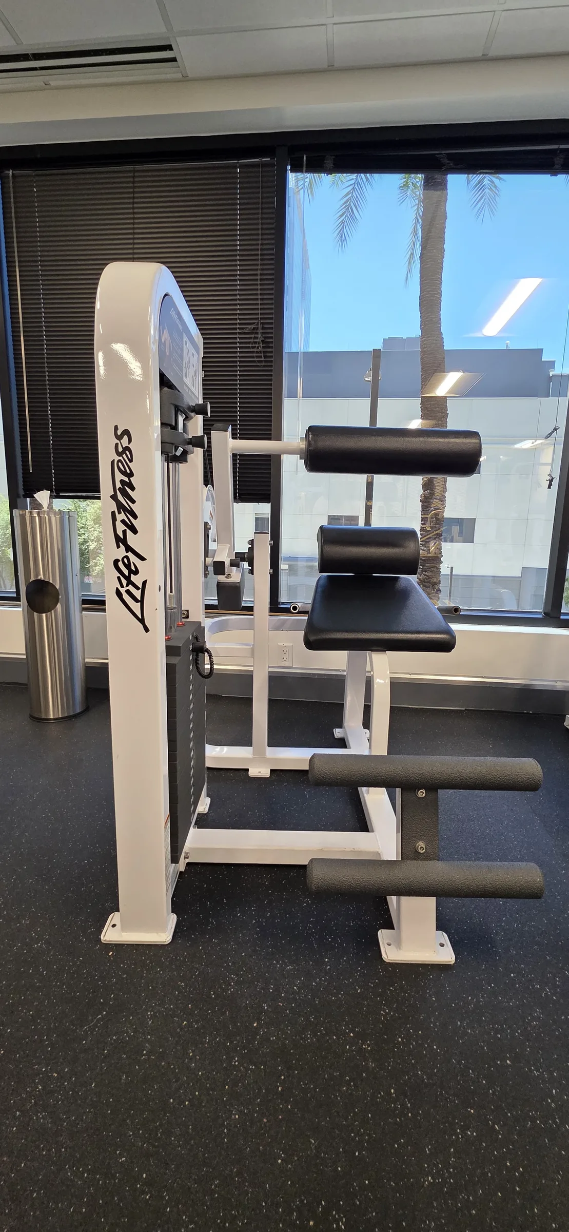 Gym floor, cardio deck + weight stacks